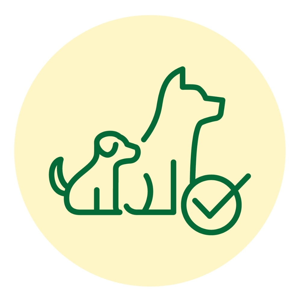 Illustration Optimale Entwicklung