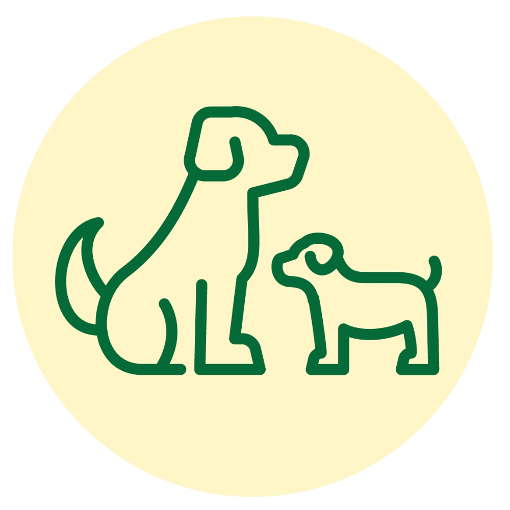 Illustration Familie