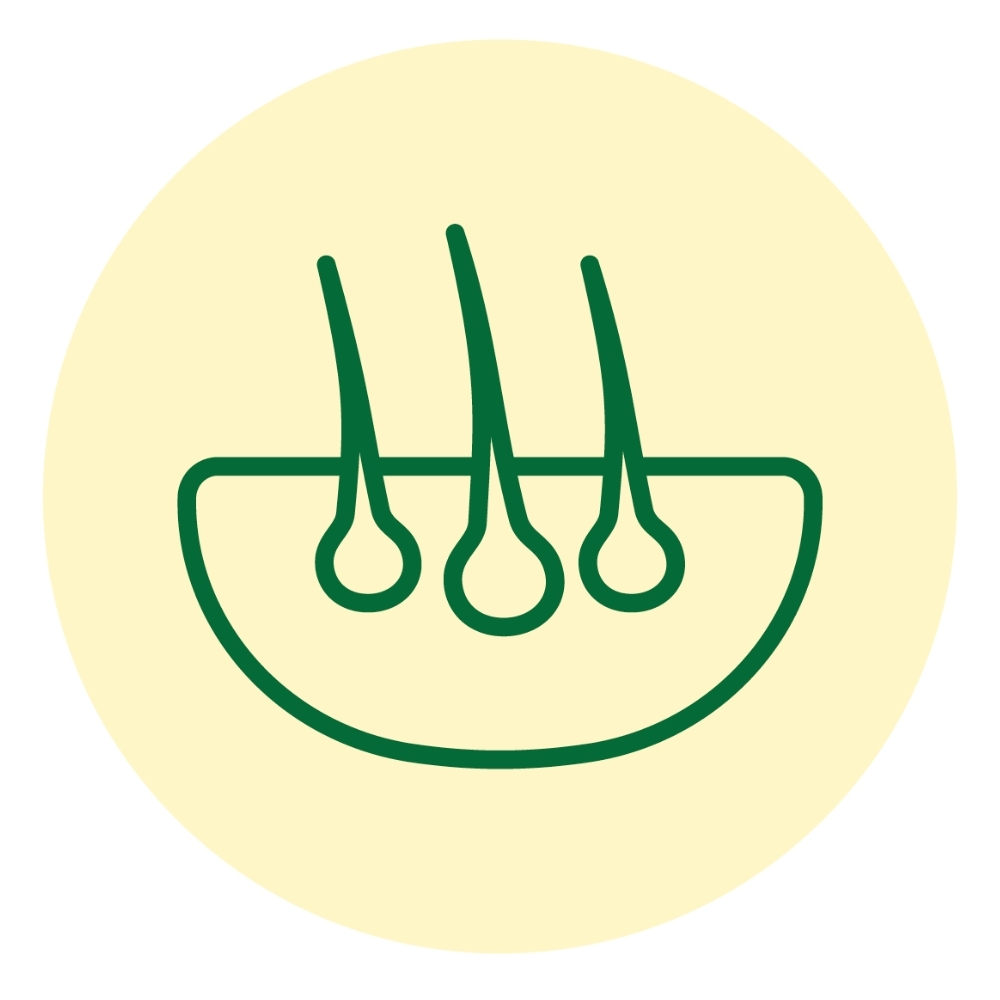 Illustration Haut & Fell